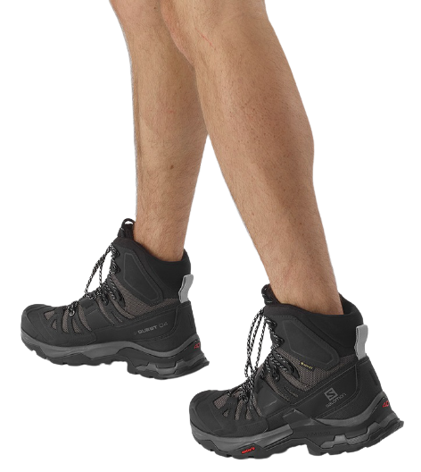 Ботинки мужские Salomon Quest 4 Gtx Magnet/Black/Quarry - Фото 6 большая