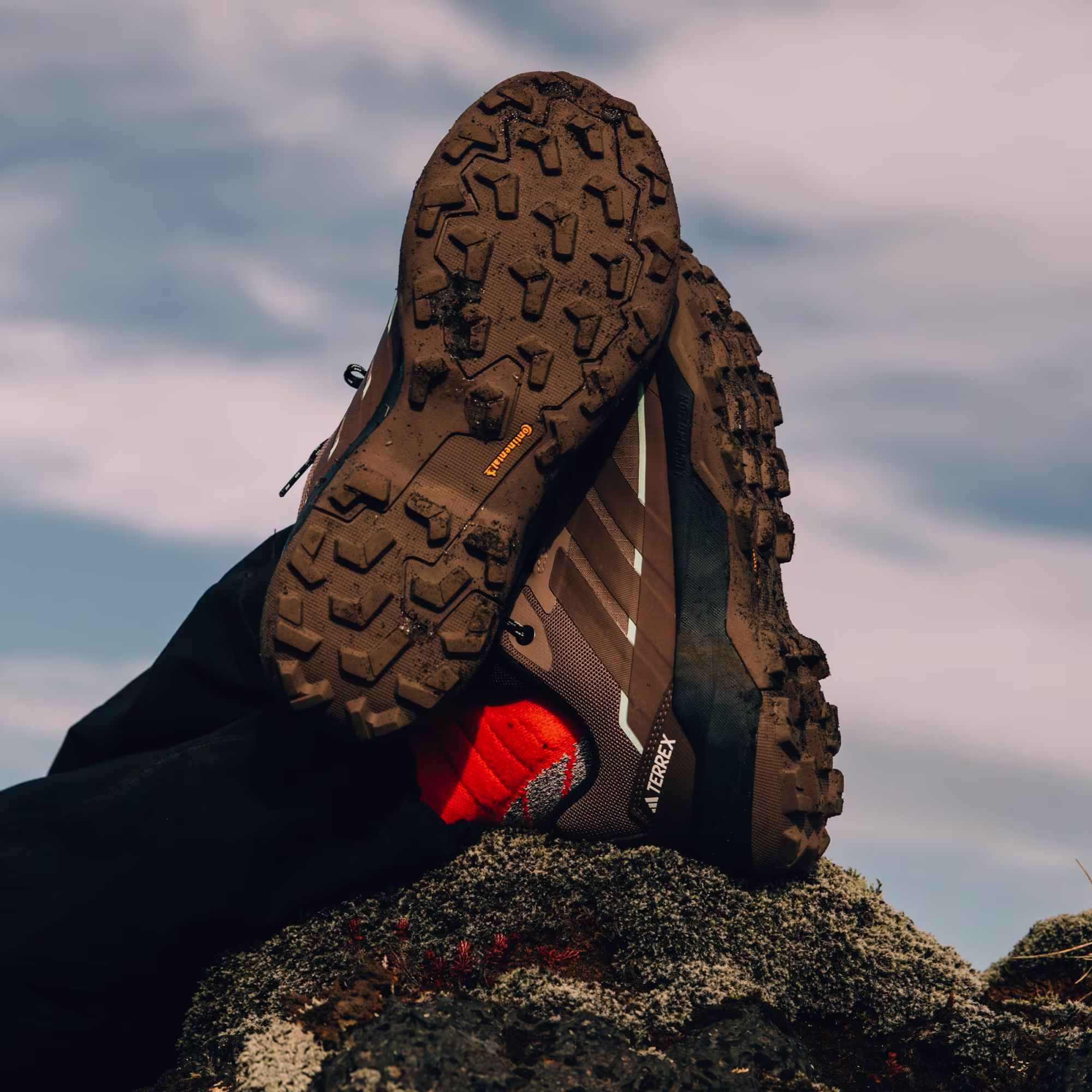 Кроссовки женские Adidas Terrex Skychaser Ax5 Gtx Trabrn/Earstr/Seimor - Фото 8 большая