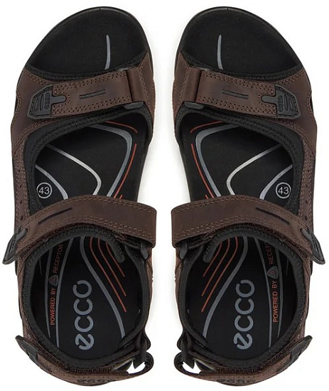 Сандалии мужские ECCO Offroad Темно-Коричневый - Фото 5 большая
