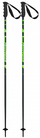 Горнолыжные палки Elan Speedrod Green - Фото 1 большая