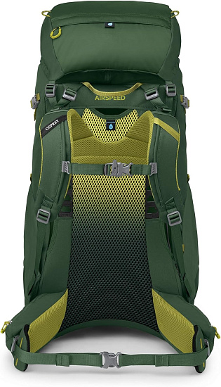 Рюкзак детский Osprey Ace 50 Green Canopy/Matcha Green - Фото 4 большая
