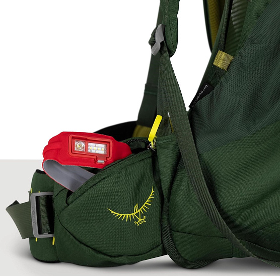 Рюкзак детский Osprey Ace 50 Green Canopy/Matcha Green - Фото 5 большая