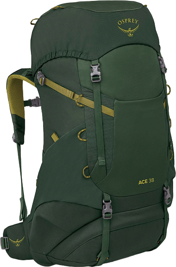 Рюкзак детский Osprey Ace 38 Green Canopy/Matcha Green - Фото 1 большая