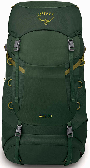 Рюкзак детский Osprey Ace 38 Green Canopy/Matcha Green - Фото 2 большая