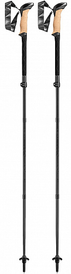 Треккинговые палки Leki Black Series FX Carbon Black/Naturalcarbon - Фото 1 большая