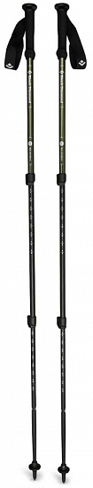 Треккинговые палки Black Diamond Explorer 3 Tundra - Фото 1 большая