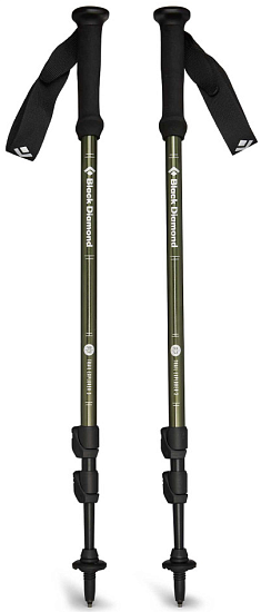 Треккинговые палки Black Diamond Explorer 3 Tundra - Фото 2 большая