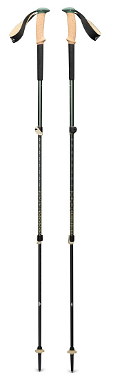 Треккинговые палки Black Diamond Trail Cork Laurel Green - Фото 1 большая