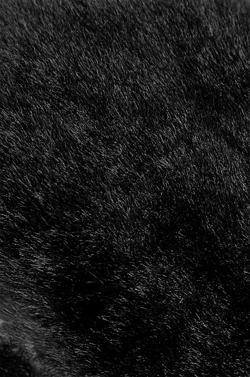 Варежки женские Reusch Molly R-Tex XT Mitten Black - Фото 7 большая