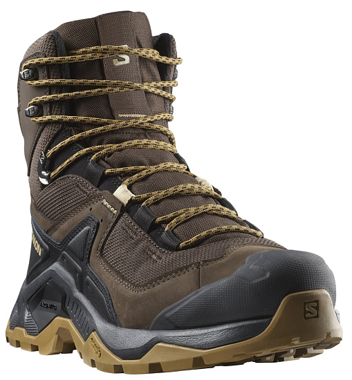 Ботинки мужские Salomon Quest Element Gtx Delicioso/Black/Dull Gold - Фото 5 большая