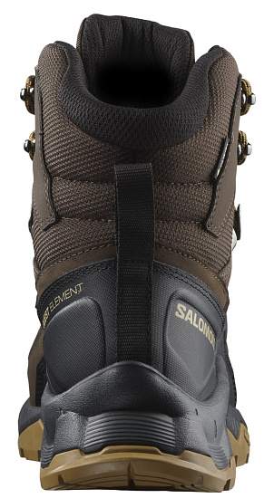 Ботинки мужские Salomon Quest Element Gtx Delicioso/Black/Dull Gold - Фото 6 большая