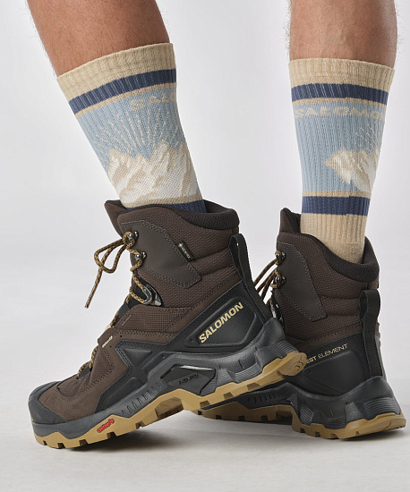 Ботинки мужские Salomon Quest Element Gtx Delicioso/Black/Dull Gold - Фото 7 большая