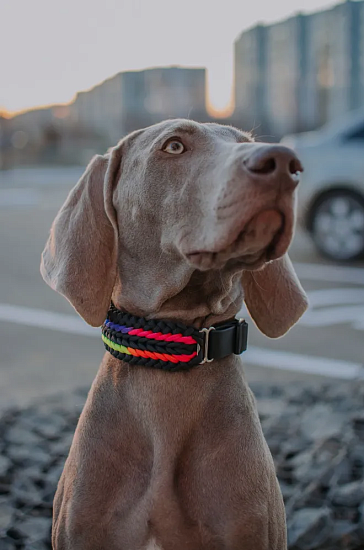 Паракорд Cord 550 30м Grey - Фото 4 большая