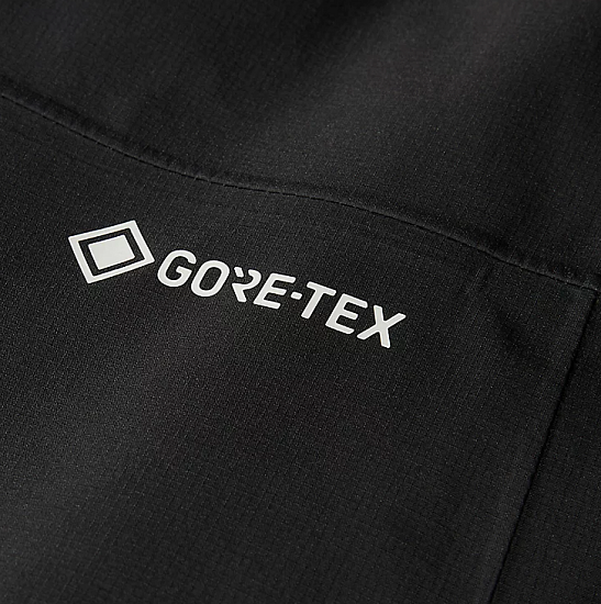 Брюки мужские The North Face Jazzi Gtx Asphalt Grey/Tnf Black - Фото 3 большая
