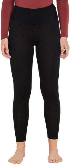 Кальсоны женские Icebreaker Merino 260 Tech High Rise Black - Фото 1 большая