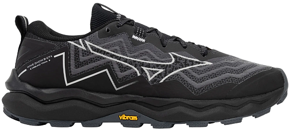 Кроссовки женские Mizuno Wave Daichi 9 Gtx Ebony/Harbor Mist/Black - Фото 1 большая