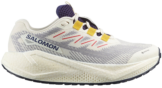 Кроссовки женские Salomon Aero Blaze 3 Grvl Gtx Vanilla Ice/Astral Aura/Lemon - Фото 1 большая