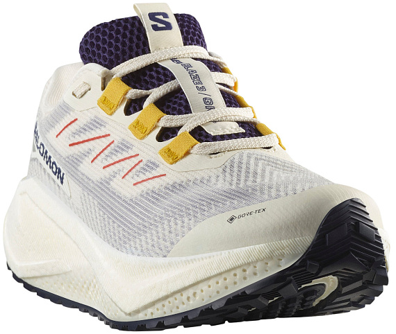 Кроссовки женские Salomon Aero Blaze 3 Grvl Gtx Vanilla Ice/Astral Aura/Lemon - Фото 6 большая