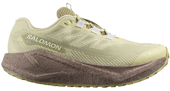 Кроссовки женские Salomon Aero Blaze 3 Grvl Gtx Green Haze/Iron/Ice Flow - Фото 1 большая
