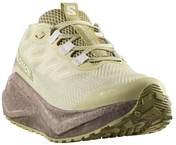 Кроссовки женские Salomon Aero Blaze 3 Grvl Gtx Green Haze/Iron/Ice Flow - Фото 4 большая