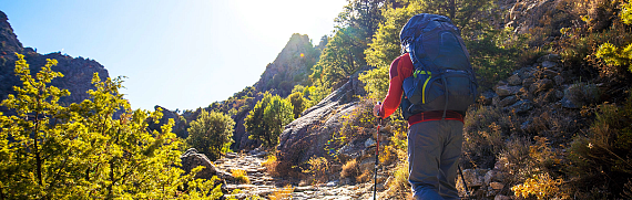 Рюкзак Osprey Atmos AG 50 Mythical Green - Фото 5 большая