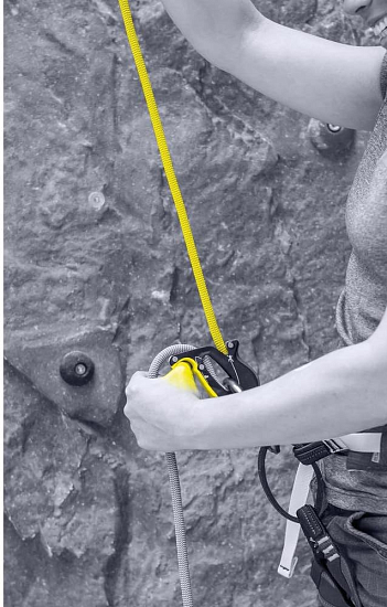 Страховочно-спусковое устройство Salewa Ergo Night - Фото 5 большая