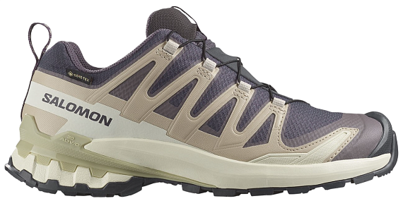 Кроссовки женские Salomon Xa Pro 3D V9 Gtx Nine Iron/Oxford Tan/Alfalfa - Фото 1 большая