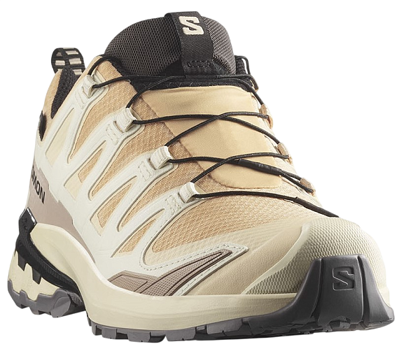 Кроссовки женские Salomon Xa Pro 3D V9 Gtx Hazelnut/Tender/Black - Фото 3 большая