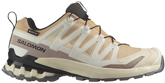 Кроссовки женские Salomon Xa Pro 3D V9 Gtx Hazelnut/Tender/Black - Фото 1 большая