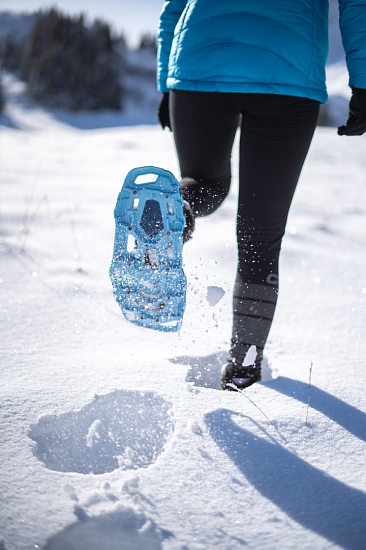 Снегоступы TSL Smart Moonlight - Фото 6 большая