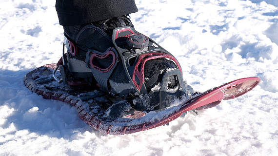 Снегоступы TSL Symbioz Hyperflex Instinct Titan - Фото 5 большая