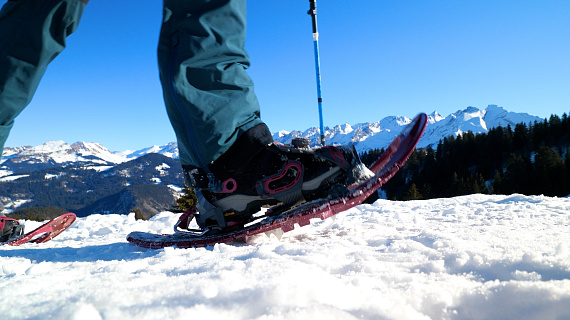 Снегоступы TSL Symbioz Hyperflex Instinct Titan - Фото 6 большая