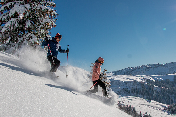 Снегоступы TSL Symbioz Hyperflex Original 2 Metallic - Фото 5 большая