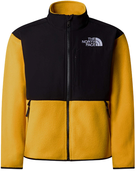 Куртка детская The North Face Denali Summit Gold - Фото 1 большая