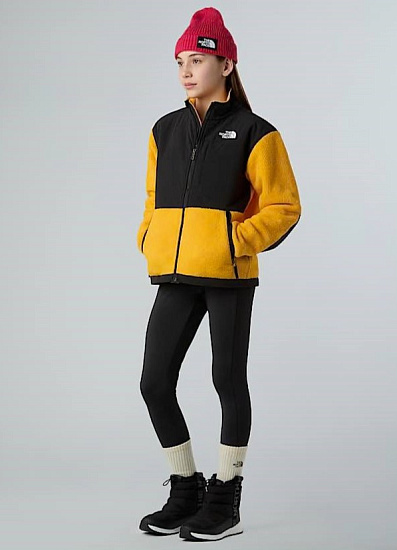 Куртка детская The North Face Denali Summit Gold - Фото 3 большая