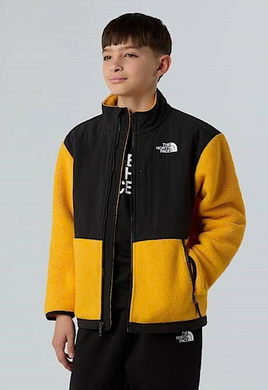 Куртка детская The North Face Denali Summit Gold - Фото 8 большая