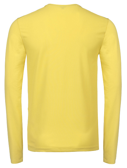 Лонгслив мужской Colmar Athlet Citrus - Фото 2 большая