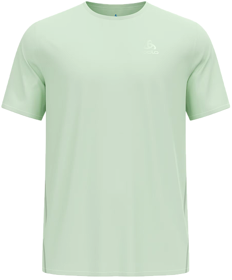 Футболка мужская Odlo Zeroweight Chill-Tec Crew Neck SS Ambrosia - Фото 1 большая