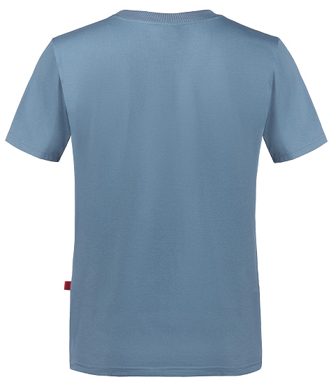 Футболка мужская Birds and Blokes Moon Синий - Фото 2 большая