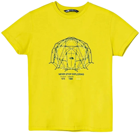 Футболка детская The North Face Graphic Relaxed Sulphur Spring Green - Фото 1 большая