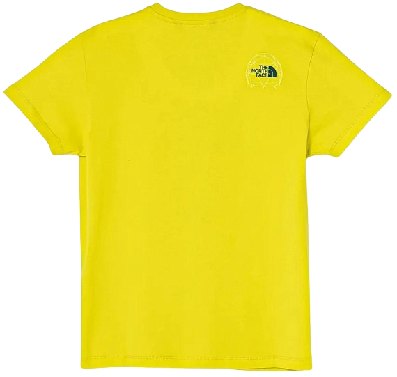 Футболка детская The North Face Graphic Relaxed Sulphur Spring Green - Фото 2 большая