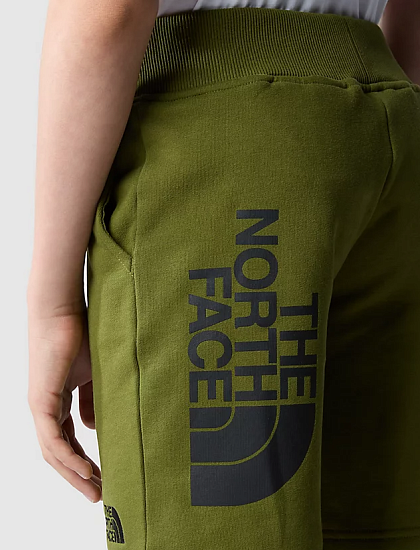 Шорты детские The North Face Cotton Forest Olive - Фото 4 большая
