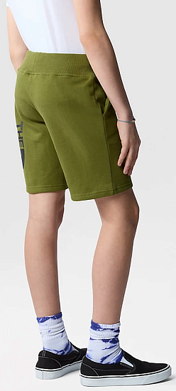 Шорты детские The North Face Cotton Forest Olive - Фото 5 большая