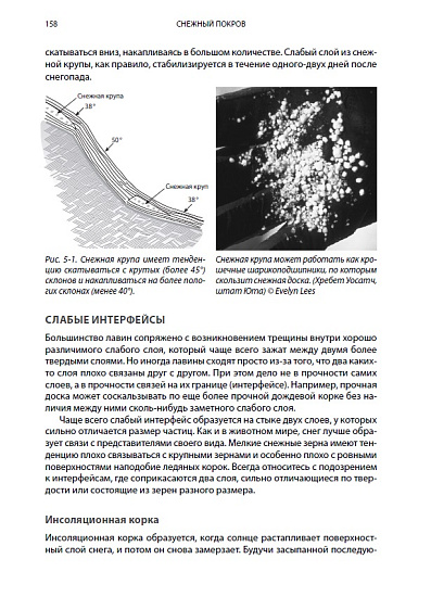 Книга «Как остаться в живых на лавинном рельефе» Брюс Тремпер - Фото 8 большая