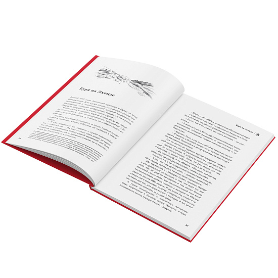 Книга «Комета над Аннапурной» Симоне Моро - Фото 4 большая