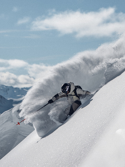 Горные лыжи Fischer Ranger 102 Violet - Фото 3 большая