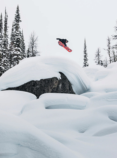 Сноуборд Burton Ft Hometown Hero Family Tree - Фото 13 большая