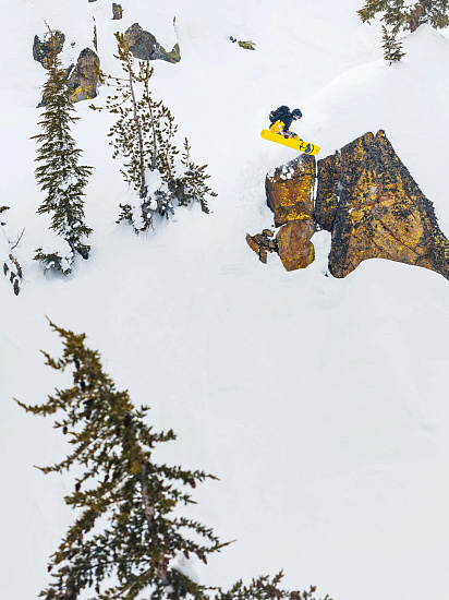 Сноуборд Arbor Carbon Coda - Фото 6 большая